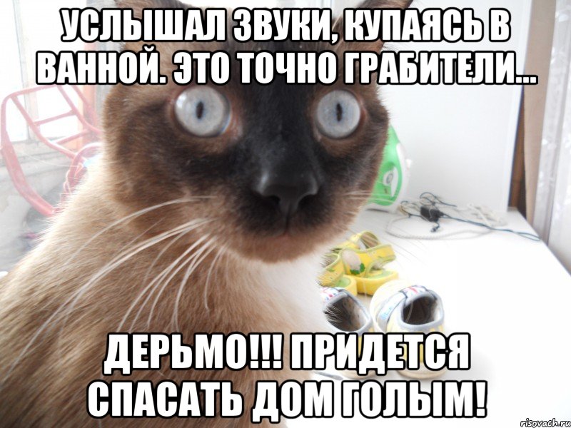 услышал звуки, купаясь в ванной. это точно грабители... дерьмо!!! придется спасать дом голым!, Мем дерьмо