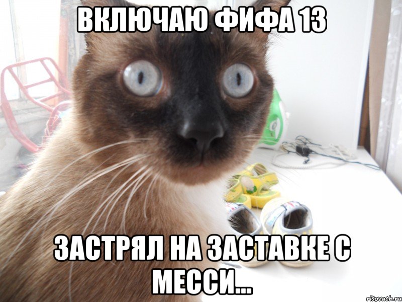 включаю фифа 13 застрял на заставке с месси...