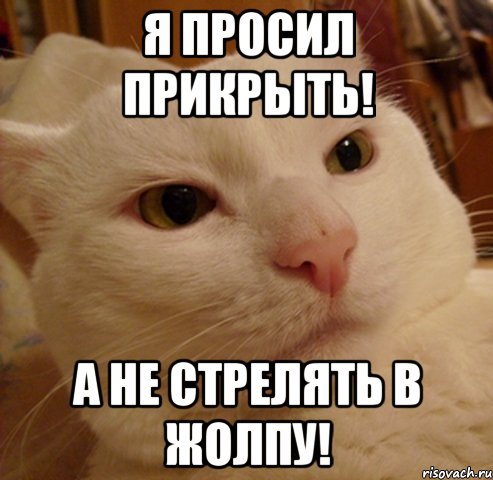 я просил прикрыть! а не стрелять в жолпу!, Мем Дерзкий котэ