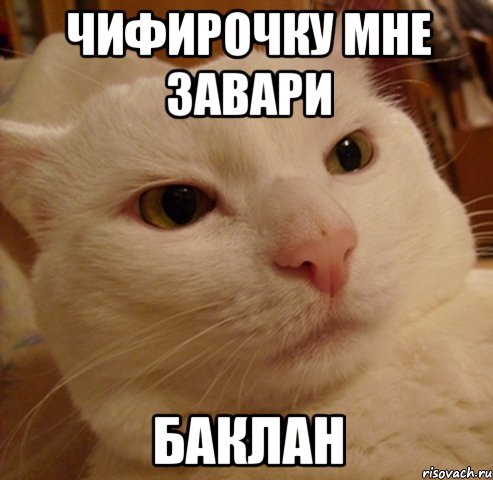 чифирочку мне завари баклан, Мем Дерзкий котэ