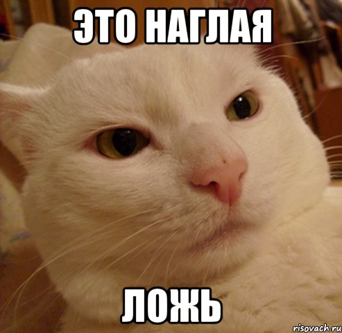 это наглая ложь, Мем Дерзкий котэ