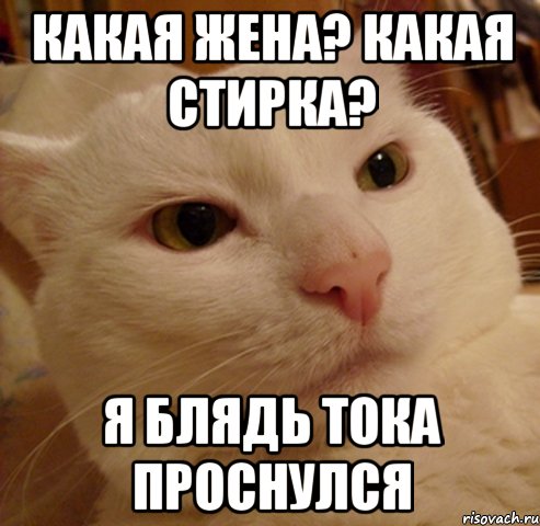 какая жена? какая стирка? я блядь тока проснулся