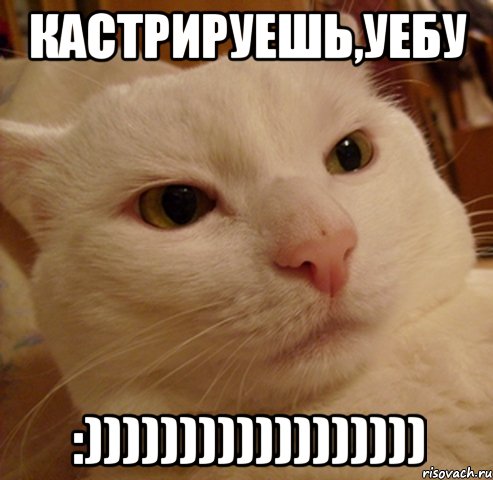 кастрируешь,уебу :)))))))))))))))))), Мем Дерзкий котэ