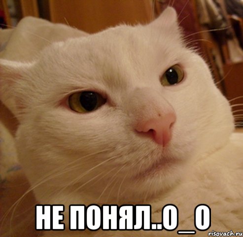  не понял..о_о, Мем Дерзкий котэ