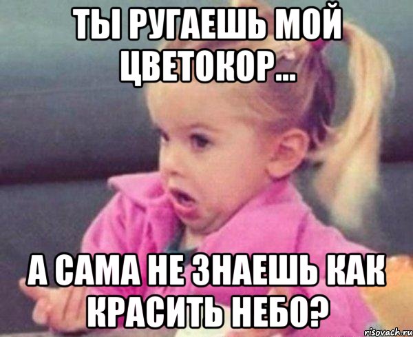 ты ругаешь мой цветокор... а сама не знаешь как красить небо?, Мем  Ты говоришь (девочка возмущается)