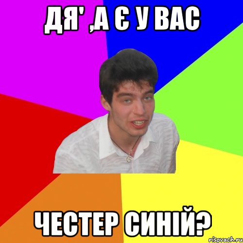 дя' ,а є у вас честер синій?, Мем Дима