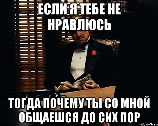 если я тебе не нравлюсь тогда почему ты со мной общаешся до сих пор, Мем Дон Вито Корлеоне