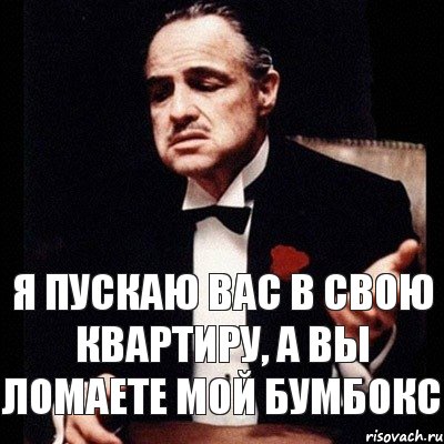 Я пускаю Вас в свою квартиру, а Вы ломаете мой бумбокс