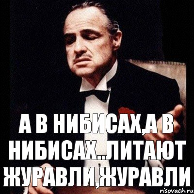 А В НИБИСАХ,А В НИБИСАХ..ЛИТАЮТ ЖУРАВЛИ,ЖУРАВЛИ, Комикс Дон Вито Корлеоне 1