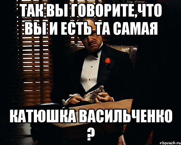 так вы говорите,что вы и есть та самая катюшка васильченко ?, Мем Дон Вито Корлеоне