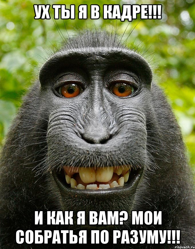 ух ты я в кадре!!! и как я вам? мои собратья по разуму!!!