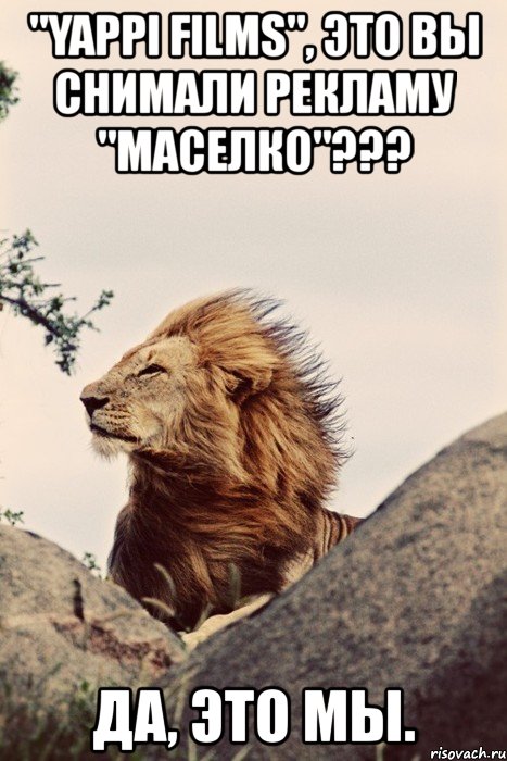"yappi films", это вы снимали рекламу "маселко"??? да, это мы., Мем  Лев я прекрасен