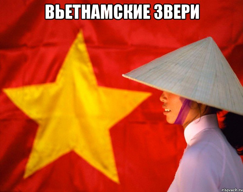 вьетнамские звери , Мем  Нам по