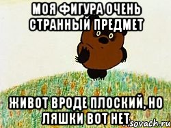 моя фигура очень странный предмет живот вроде плоский, но ляшки вот нет, Мем Энка