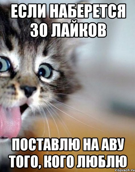 если наберется 30 лайков поставлю на аву того, кого люблю