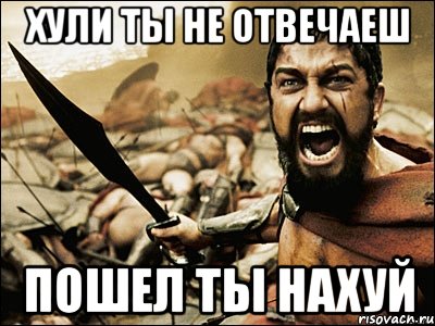 хули ты не отвечаеш пошел ты нахуй, Мем Это Спарта