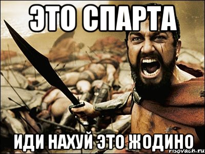 это спарта иди нахуй это жодино, Мем Это Спарта