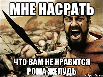 мне насрать что вам не нравится рома желудь, Мем Это Спарта