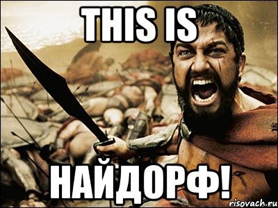 this is найдорф!, Мем Это Спарта