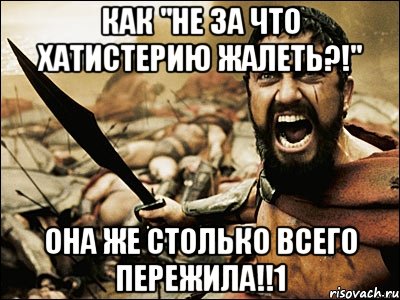 как "не за что хатистерию жалеть?!" она же столько всего пережила!!1, Мем Это Спарта