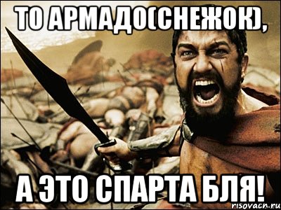 то армадо(снежок), а это спарта бля!, Мем Это Спарта