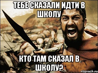 тебе сказали идти в школу кто там сказал в школу?, Мем Это Спарта