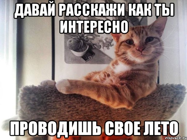 давай расскажи как ты интересно проводишь свое лето, Мем эу