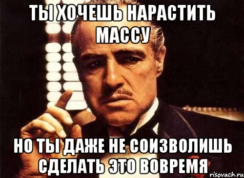 ты хочешь нарастить массу но ты даже не соизволишь сделать это вовремя, Мем fdgdfg