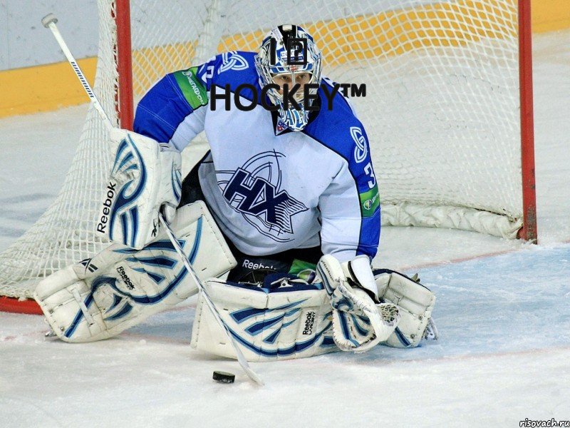 I ♥ Hockey™, Комикс FF