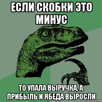 если скобки это минус то упала выручка, а прибыль и ябеда выросли, Мем Филосораптор