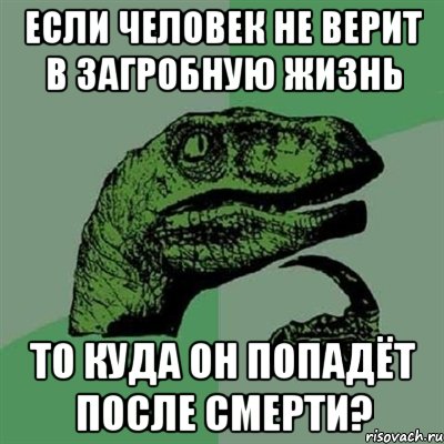 если человек не верит в загробную жизнь то куда он попадёт после смерти?, Мем Филосораптор