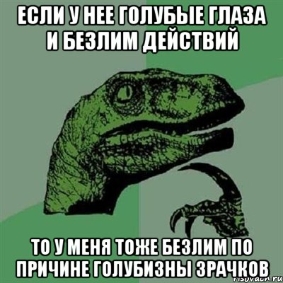 если у нее голубые глаза и безлим действий то у меня тоже безлим по причине голубизны зрачков, Мем Филосораптор