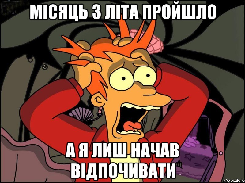 місяць з літа пройшло а я лиш начав відпочивати, Мем Фрай в панике