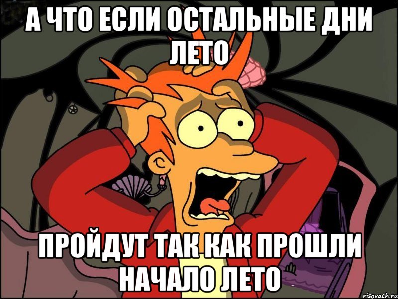 а что если остальные дни лето пройдут так как прошли начало лето, Мем Фрай в панике