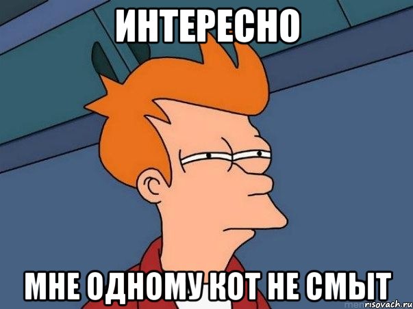 интересно мне одному кот не смыт, Мем  Фрай (мне кажется или)