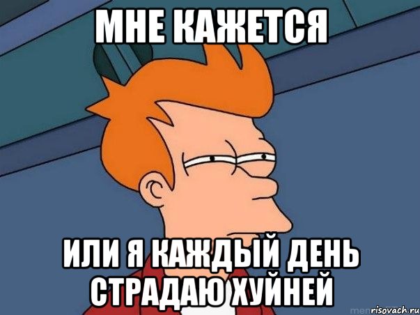 мне кажется или я каждый день страдаю хуйней, Мем  Фрай (мне кажется или)