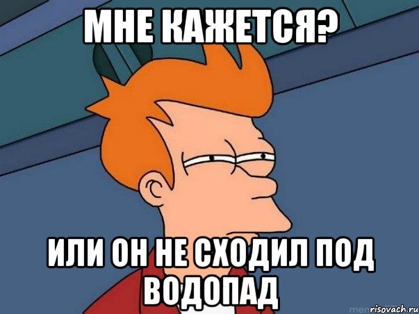 мне кажется? или он не сходил под водопад, Мем  Фрай (мне кажется или)