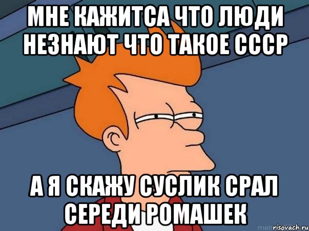 мне кажитса что люди незнают что такое ссср а я скажу суслик срал середи ромашек, Мем  Фрай (мне кажется или)