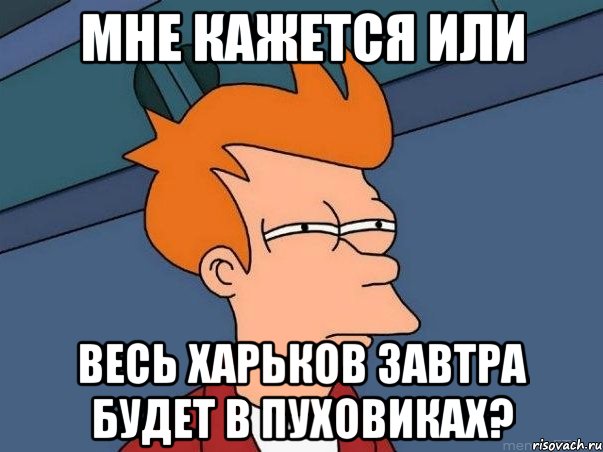 мне кажется или весь харьков завтра будет в пуховиках?, Мем  Фрай (мне кажется или)