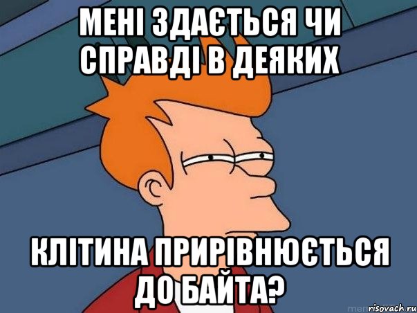 мені здається чи справді в деяких клітина прирівнюється до байта?, Мем  Фрай (мне кажется или)