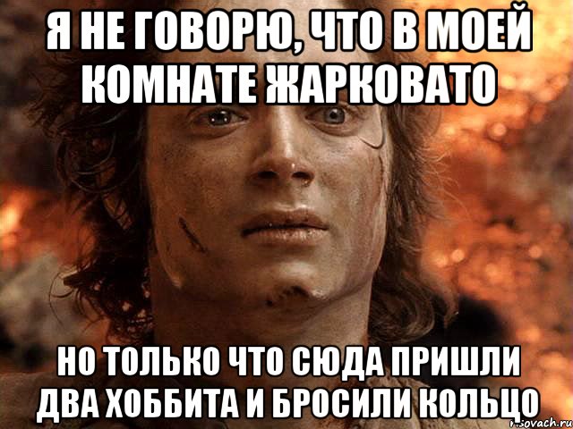 я не говорю, что в моей комнате жарковато но только что сюда пришли два хоббита и бросили кольцо, Мем Frodo