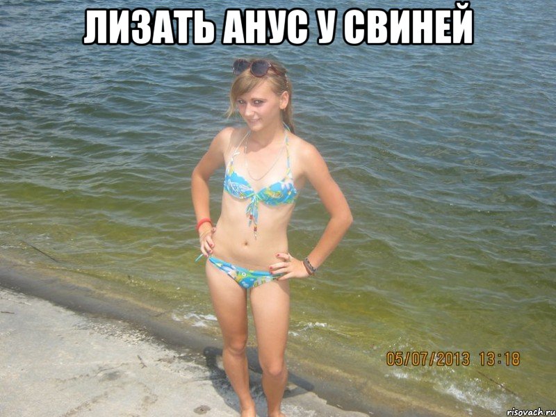 лизать анус у свиней 