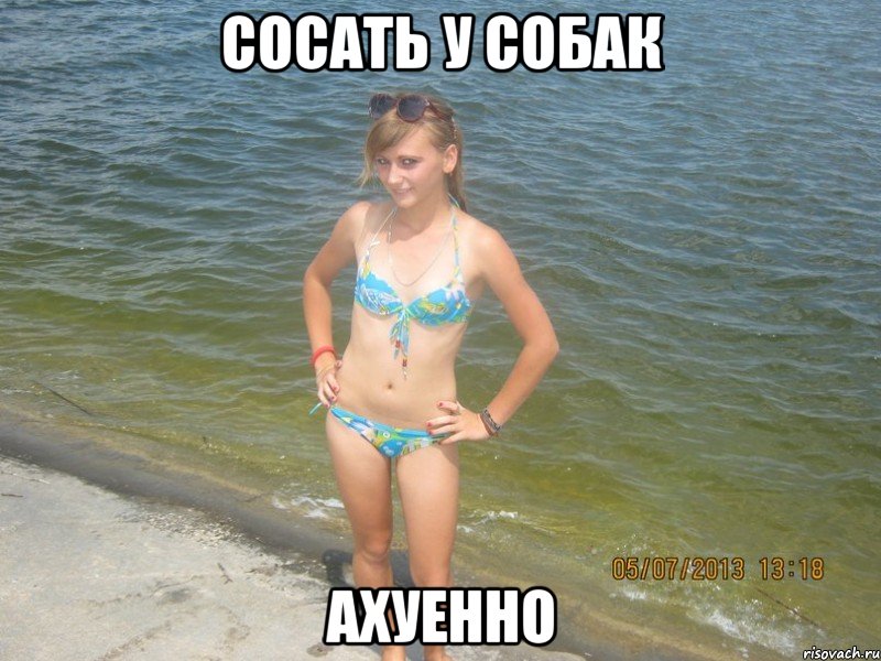 сосать у собак ахуенно