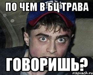 по чем в бц трава говоришь?, Мем Упоротый Гарри