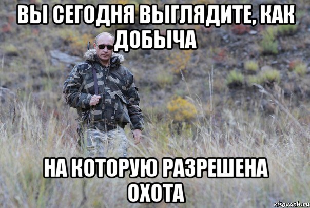 вы сегодня выглядите, как добыча на которую разрешена охота, Мем genby
