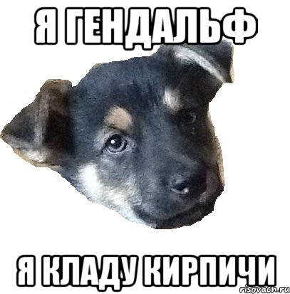 я гендальф я кладу кирпичи, Мем Гендальф