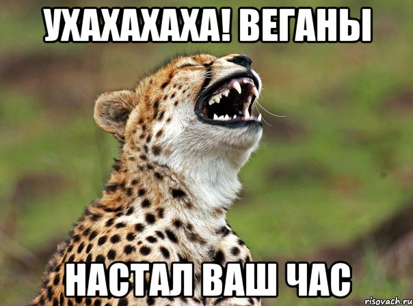 ухахахаха! веганы настал ваш час, Мем гепард