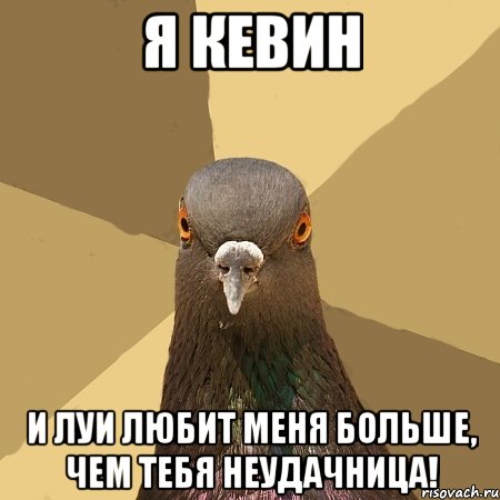 я кевин и луи любит меня больше, чем тебя неудачница!, Мем голубь