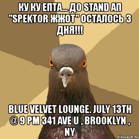 ку ку епта... до stand ап "spektor жжот" осталось 3 дня!!! blue velvet lounge. july 13th @ 9 pm 341 ave u , brooklyn , ny, Мем голубь