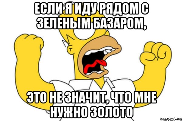 если я иду рядом с зеленым базаром, это не значит, что мне нужно золото, Мем Разъяренный Гомер